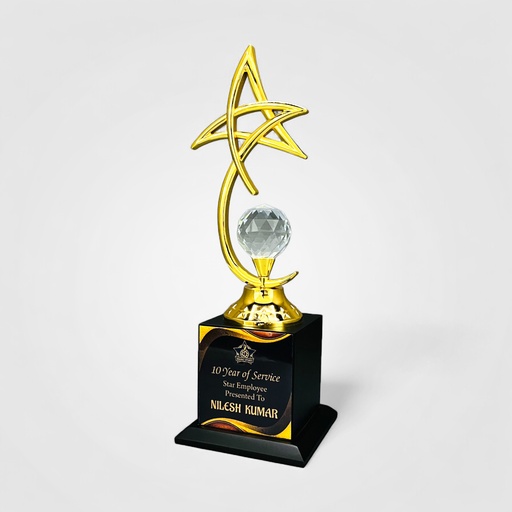 Wood & Metal Trophy WM 9183